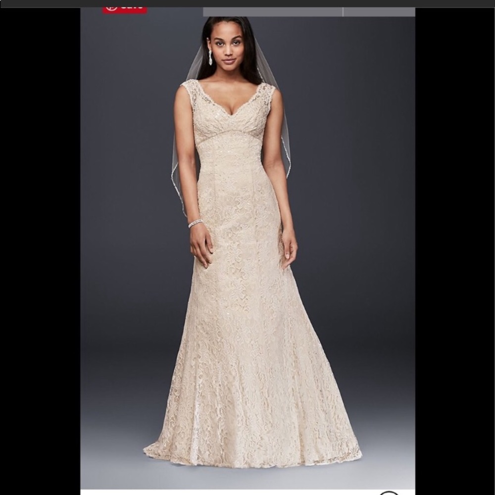 Wedding Dress David’s Bridal size 14